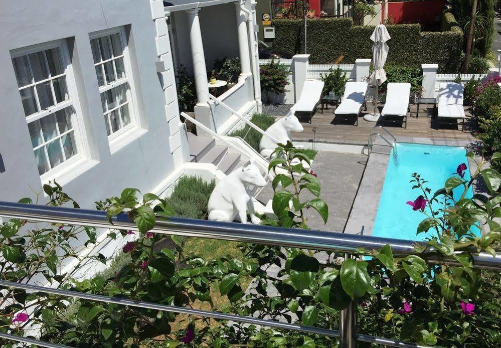 Dysart Boutique - Solar Power 5*